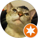 Victoria Cages profile picture